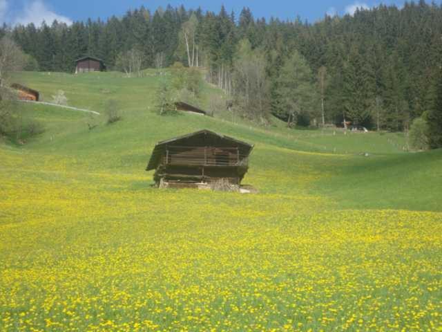 Appartementhaus Eberharter Hart im Zillertal Extérieur photo