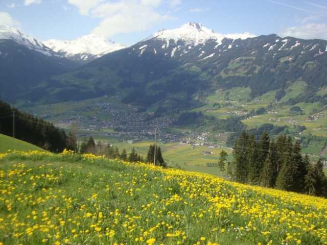 Appartementhaus Eberharter Hart im Zillertal Extérieur photo